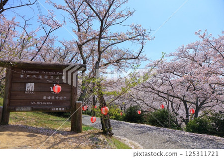 【愛媛郡】晴天開山公園櫻花盛開 125311721