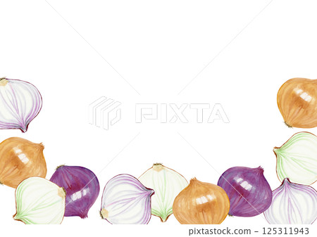 Onion vegetable background frame watercolor illustration Onion vegetable background frame watercolor illustration 125311943