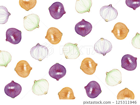 洋蔥蔬菜背景圖案水彩插圖 125311946