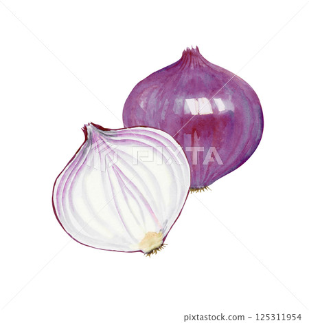 紫洋蔥蔬菜橫斷面水彩插圖 125311954
