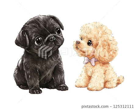 Pug and toy poodle puppies Pug and toy poodle puppies 125312111