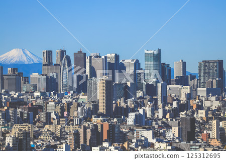 Cityscape View of Tokyo with Mount Fuji in the Background Dec 9 2024 Cityscape View of Tokyo with Mount Fuji in the Background Dec 9 2024 125312695