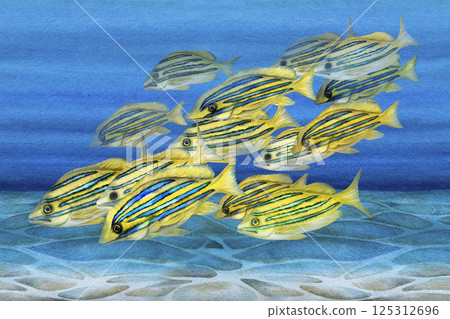 Tropical yellow fish with blue stripes. Watercolor common bluestripe snapper fish template with textures for marine-themed designs children's books, educational materials, textile, snorkeling, diving. 125312696