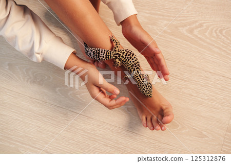 Child gently interacts with a pet leopard gecko in a cozy indoor setting during the daytime 125312876
