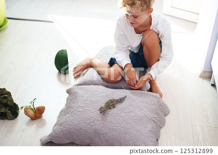 Young boy plays with a gecko on a cushion in a bright and cheerful indoor room during daytime 125312899
