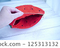 Watermelon pouch 125313132