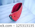 Watermelon pouch 125313135