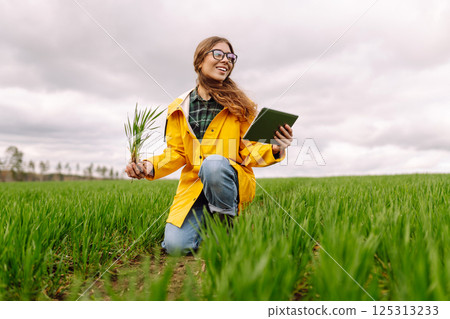 A young farmer woman in a green field, intently using a tablet. The concept of technology, gardening A young farmer woman in a green field, intently using a tablet. The concept of technology, gardening 125313233
