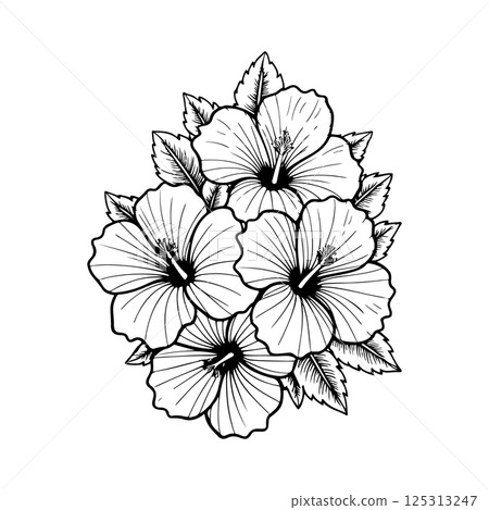 Illustration of hibiscus flower isolated on white background. Design element Illustration of hibiscus flower isolated on white background. Design element 125313247