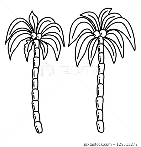 Set of hand drawn palm trees. Doodle style palm trees. Vector illustration Set of hand drawn palm trees. Doodle style palm trees. Vector illustration 125313272