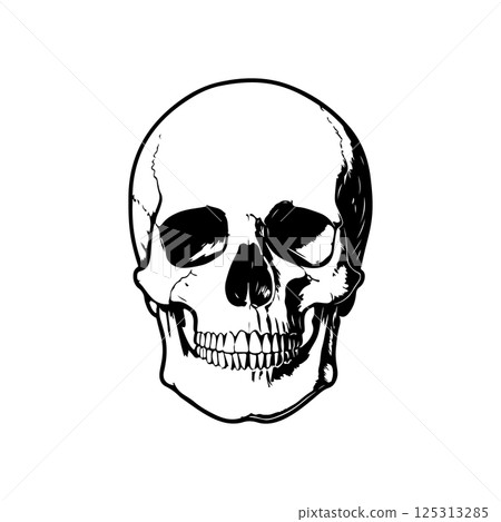 Illustration of a skull. Design element for poster, card, banner, sign. Vector illustration Illustration of a skull. Design element for poster, card, banner, sign. Vector illustration 125313285