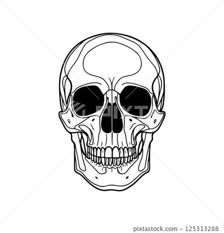 Illustration of a skull. Design element for poster, card, banner, sign. Vector illustration 125313288