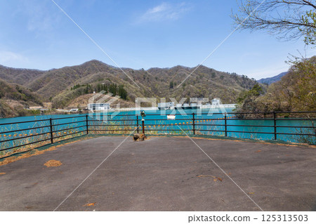 Yamba Dam in Spring, Gunma Prefecture 125313503