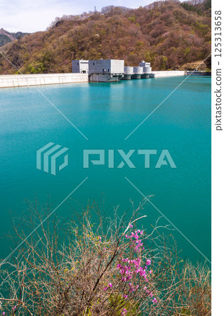 群馬縣長野原町八場水壩堤防滿水狀態 群馬縣長野原町八場水壩堤防滿水狀態 125313658
