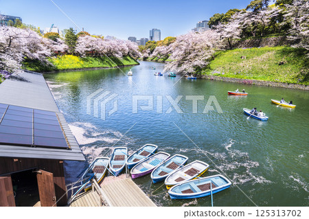 春天的千鳥淵 - 櫻花盛開的船碼頭風景[東京都千代田區] 125313702