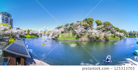 春季：千鳥淵櫻花盛開的護城河全景[東京都千代田區] 125313703