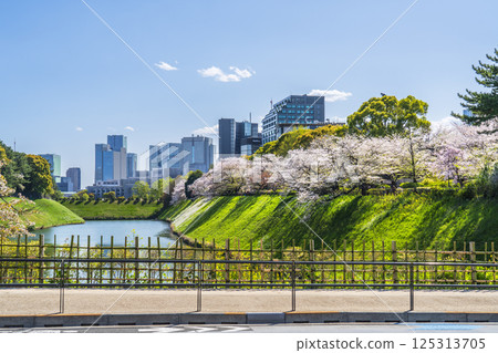 Springtime Chidorigafuchi: Cityscape with cherry blossoms in bloom [Chiyoda Ward, Tokyo] 125313705