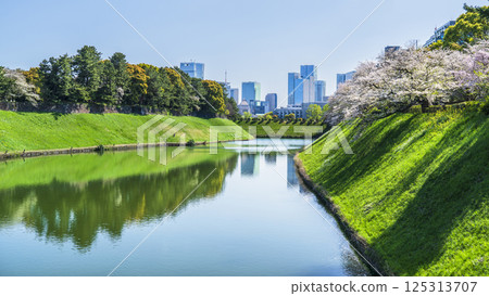 Chidorigafuchi in spring: Cityscape reflected on the water surface [Chiyoda-ku, Tokyo] 125313707