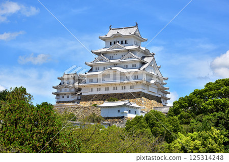 姬路城,白鷺城,國寶,世界文化遺產,兵庫縣姬路市 姬路城,白鷺城,國寶,世界文化遺產,兵庫縣姬路市 125314248