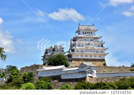 Himeji Castle, White Heron Castle, National Treasure, World Cultural Heritage, Himeji City, Hyogo Prefecture 125314250