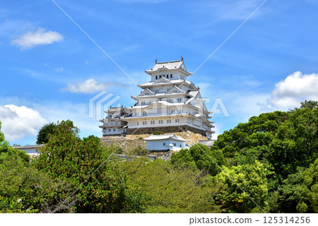 Himeji Castle, White Heron Castle, National Treasure, World Cultural Heritage, Himeji City, Hyogo Prefecture 125314256