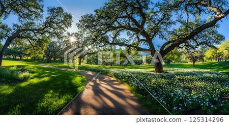 Park path curves through green lawns and shaded oak trees Park path curves through green lawns and shaded oak trees 125314296