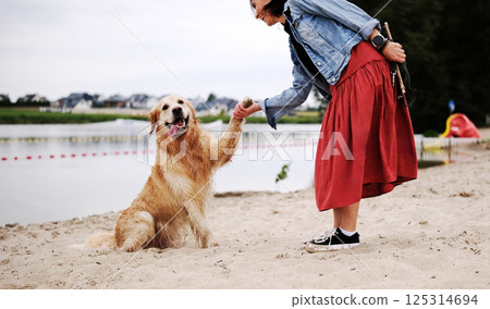 Female Owner Teaches Golden Retriever To Give A Paw. The Dog A Golden Retriever 125314694