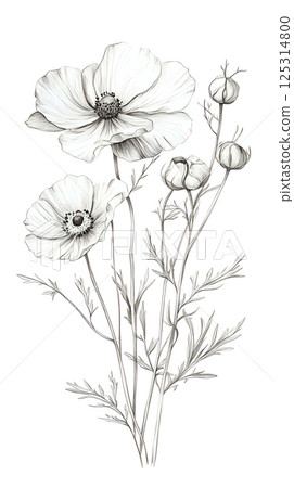 Fine linework floral clip art portrays intricate flower species 125314800
