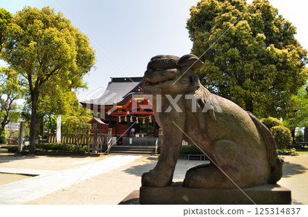 Iikaoka Hachimangu Shrine, a power spot in Hachiman, Ichihara City, Chiba Prefecture Iikaoka Hachimangu Shrine, a power spot in Hachiman, Ichihara City, Chiba Prefecture 125314837