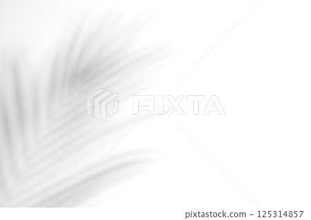 Shadow tree black and white texture background. 125314857