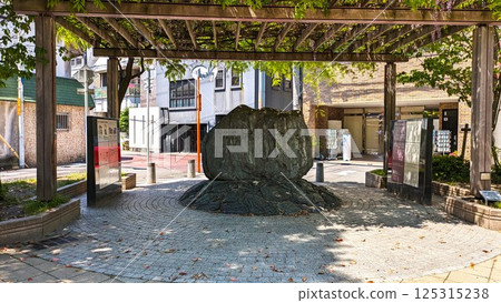 Wisteria at the Konosuke Matsushita Memorial Monument (Panasonic's birthplace) 125315238