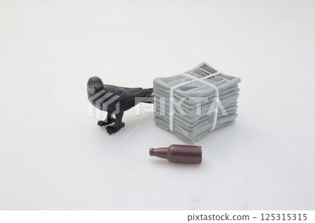 Black Bird and Newspapers Miniature Featuring Small Brown Bottle 125315315