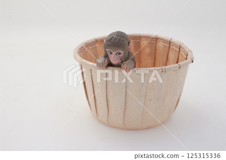 Adorable Baby Monkey in a Wooden Basket Looking Curious 125315336