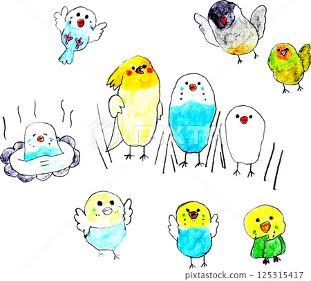 可愛的玄鳳鸚鵡、虎皮鸚鵡和白頭爪哇麻雀 125315417