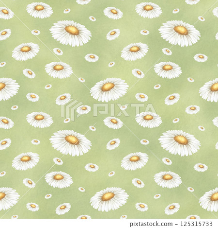 Wildflowers chamomile. Seamless floral watercolor pattern on green background. Hand drawn sketch meadow yellow white flowers for fabric print, textile and wrapping. Endlessly repeating ornament. 125315733