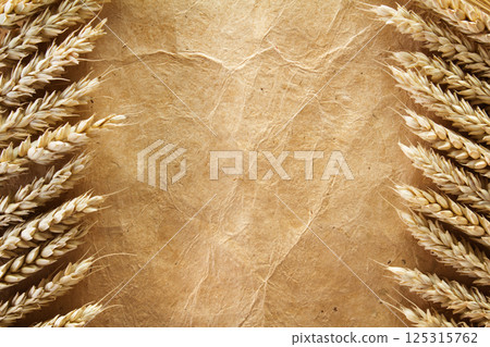 Ears of wheat on paper background 125315762