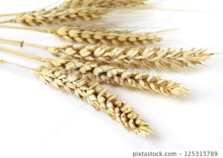 Wheat ears on white background 125315789