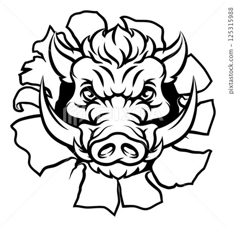 Boar Wild Hog Razorback Warthog Pig Sports Mascot Boar Wild Hog Razorback Warthog Pig Sports Mascot 125315988