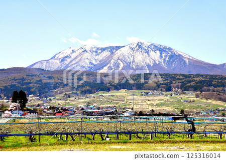 從長野縣飯綱町牟禮眺望的飯綱山和靈泉寺山（長野縣飯綱町）[2025年4月] 125316014