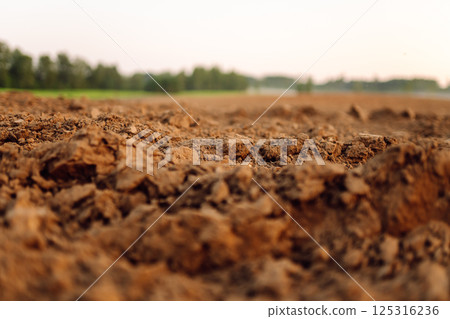 Black earth for plant background. Close-up of black soil prepared before sowing plants. Black earth for plant background. Close-up of black soil prepared before sowing plants. 125316236