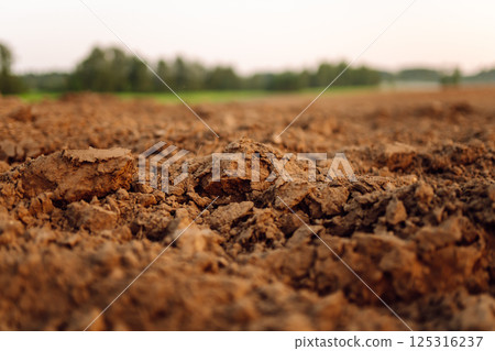 Black earth for plant background. Close-up of black soil prepared before sowing plants. Black earth for plant background. Close-up of black soil prepared before sowing plants. 125316237