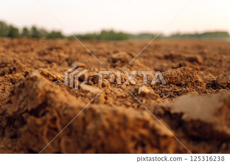 Black earth for plant background. Close-up of black soil prepared before sowing plants. Black earth for plant background. Close-up of black soil prepared before sowing plants. 125316238