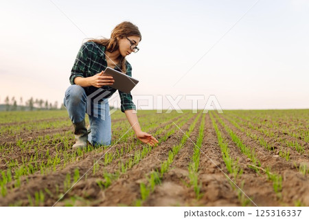 A woman agronomist examines new sprouted shoots in the field using a digital tablet. A woman agronomist examines new sprouted shoots in the field using a digital tablet. 125316337