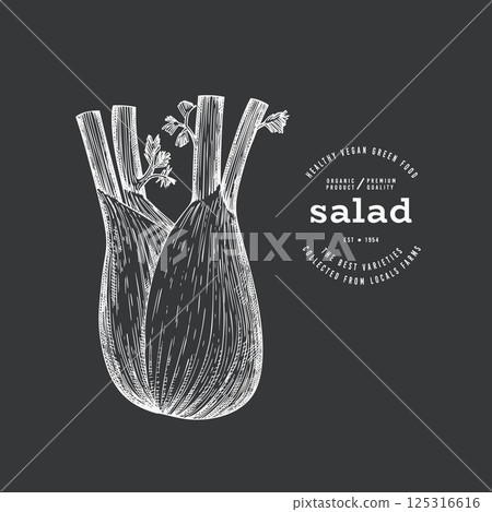 Vintage Style Chalk Board Fennel Illustration. Green Vegetable Illustration. Vector Hand Drawn Salad. Vintage Style Chalk Board Fennel Illustration. Green Vegetable Illustration. Vector Hand Drawn Salad. 125316616
