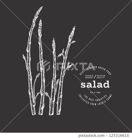 Vintage Style Chalk Board Asparagus Illustration. Green Vegetable Illustration. Vector Hand Drawn Salad. Vintage Style Chalk Board Asparagus Illustration. Green Vegetable Illustration. Vector Hand Drawn Salad. 125316618