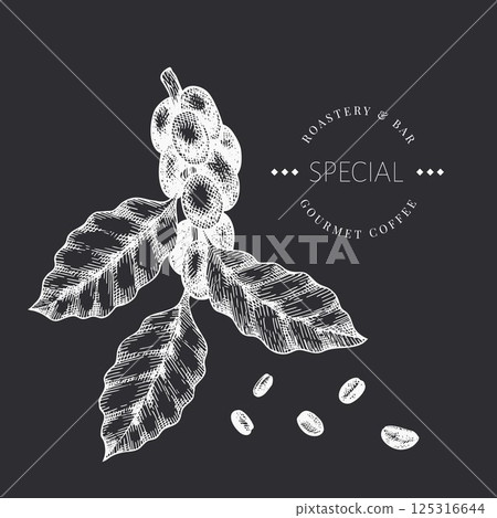 Coffee Branch Chalk Board Illustration. Vector Hand Drawn Isolated Coffee Tree. Vintage Style Plant Coffee Branch Chalk Board Illustration. Vector Hand Drawn Isolated Coffee Tree. Vintage Style Plant 125316644