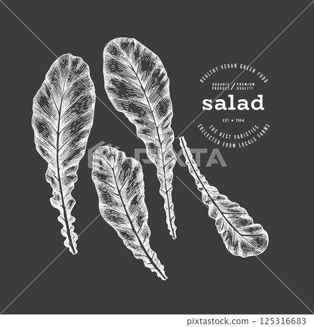 Vintage Style Chalk Board Turnip Greens Illustration. Green Vegetable Illustration. Vector Hand Drawn Salad. 125316683