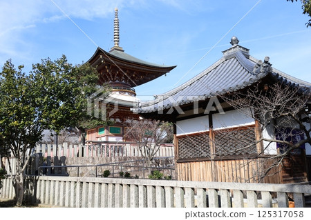 大阪府岸和田市久米田寺境內的寶塔景觀 125317058