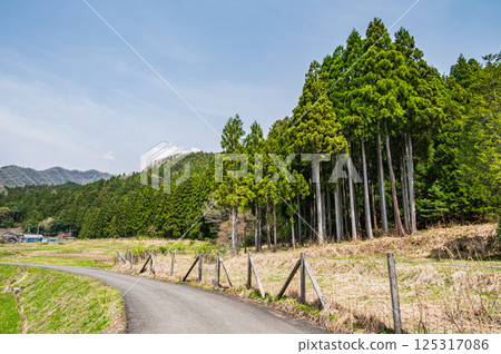 滋賀縣港北地區長濱市的田園風光 滋賀縣港北地區長濱市的田園風光 125317086