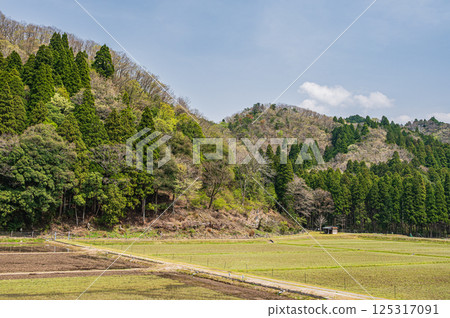 Rural scenery in the Kohoku region of Shiga Prefecture, Nagahama City Rural scenery in the Kohoku region of Shiga Prefecture, Nagahama City 125317091